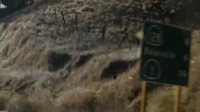 Pig Hunt Fragmanı
