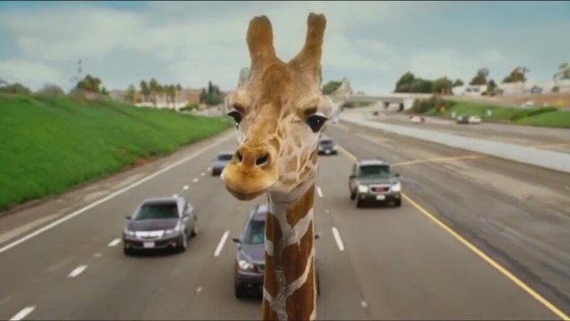 Hangover 3: Felekten Bir Gece TV Fragman 2