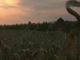 Food Inc Fragman