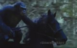 Dawn Of The Planet Of The Apes TV Fragmanı 3
